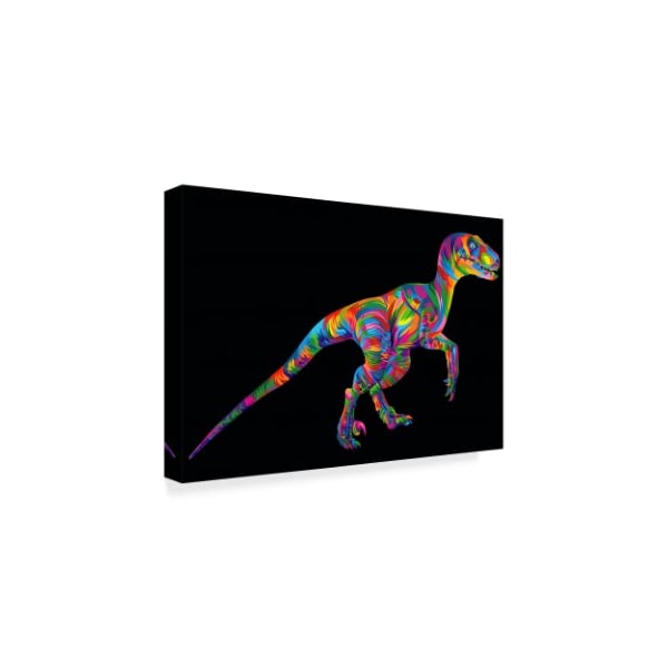Bob Weer 'Colorful Raptor' Canvas Art,16x24